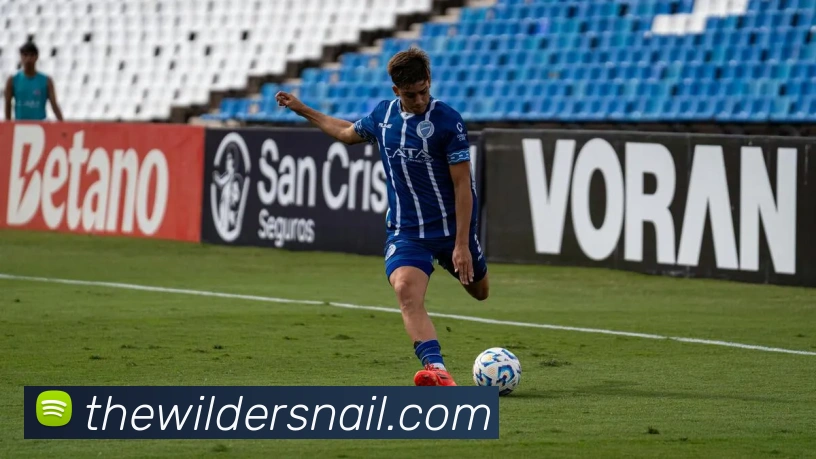 互动解说服务